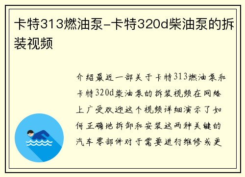 卡特313燃油泵-卡特320d柴油泵的拆装视频