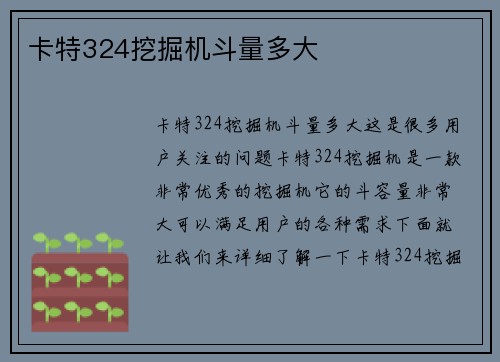 卡特324挖掘机斗量多大