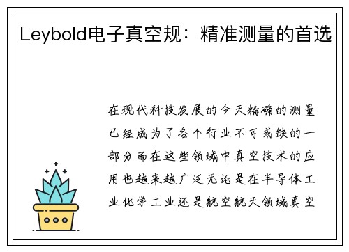 Leybold电子真空规：精准测量的首选